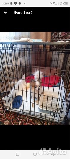 Клетка Вольер для собак
