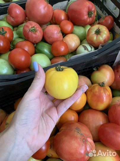 Помидоры