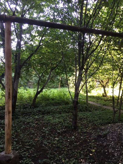 Участок 8 сот. (ИЖС)