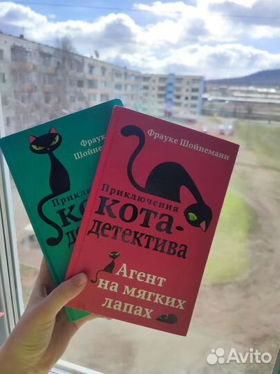 Приключение кота-детекиива