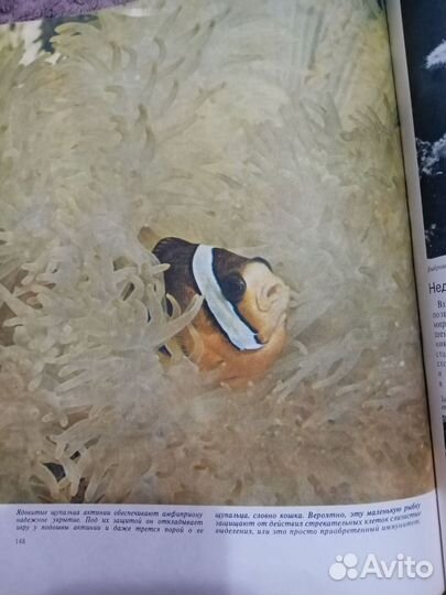 Ф.Оммани. Книга Рыбы