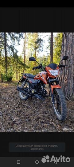Альфа RS 12 sport