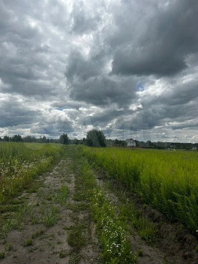 Участок 10 сот. (ИЖС)