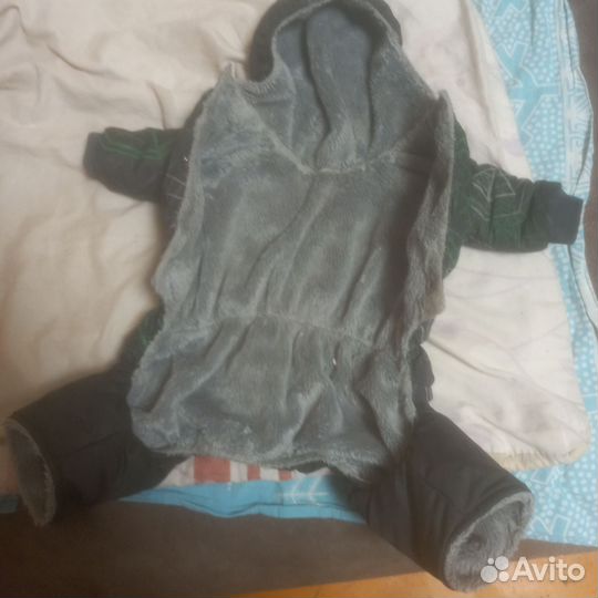 Одежда для маленьких собак