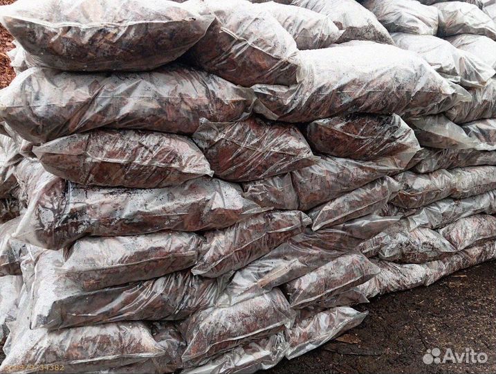 Лиственница: кора, полная жизни