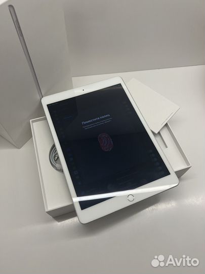 iPad 7