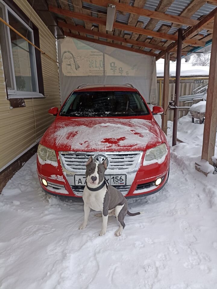 Volkswagen Passat: фото владельца