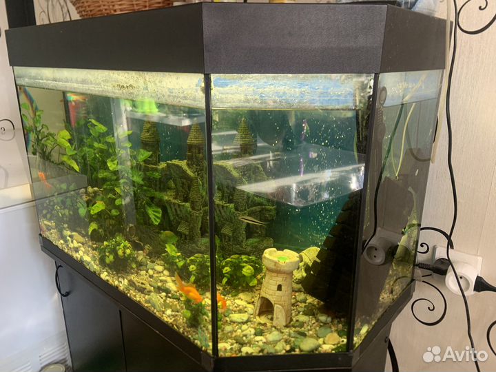 Аквариум