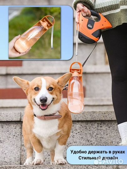 Поилка для собак и других животных