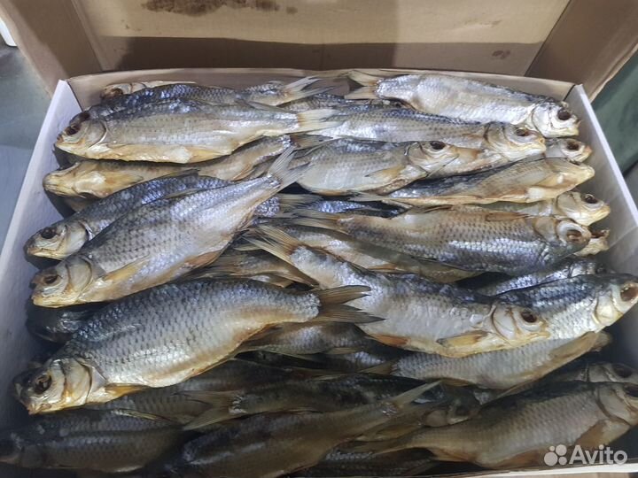 Вобла Астраханская вяленая икряная 19+ см от 7 кг