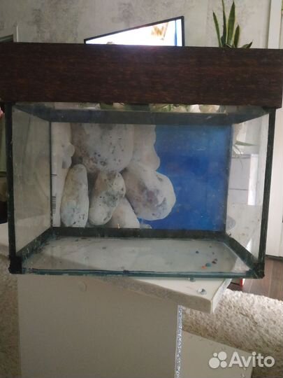 Аквариум