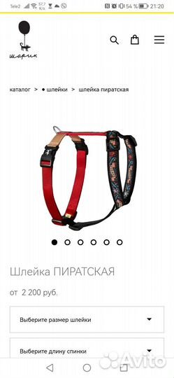 Шлейка анатомическая для собаки