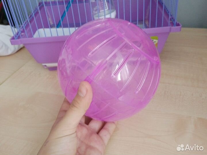 Шар для грызунов сирийских