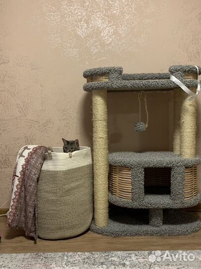 Корзина для белья или интерьера