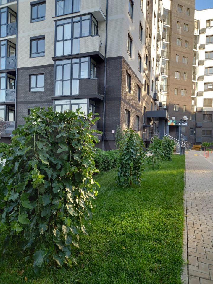 Квартира-студия, 31 м², 8/8 эт.