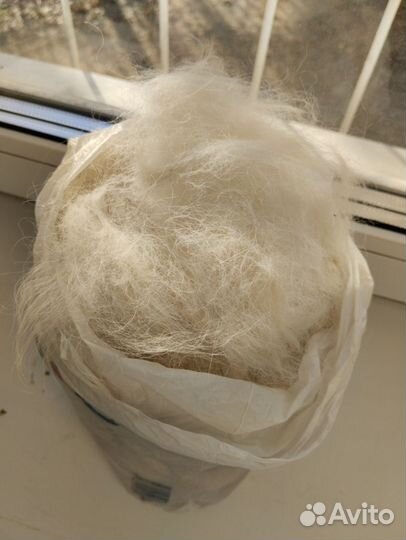 Пух собаки белый