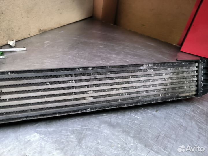 Renault Laguna 3 интеркулер 1.5 dci