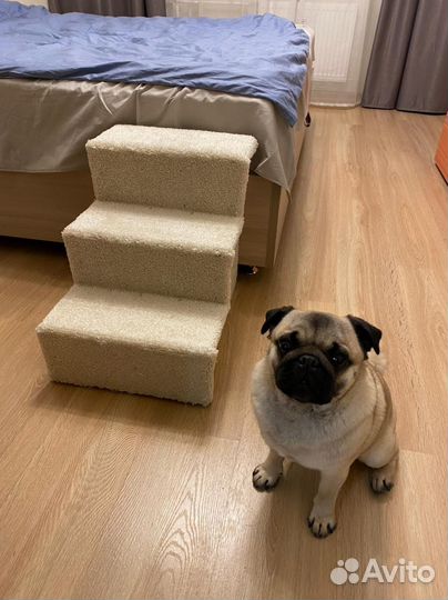 Лесенка для собак