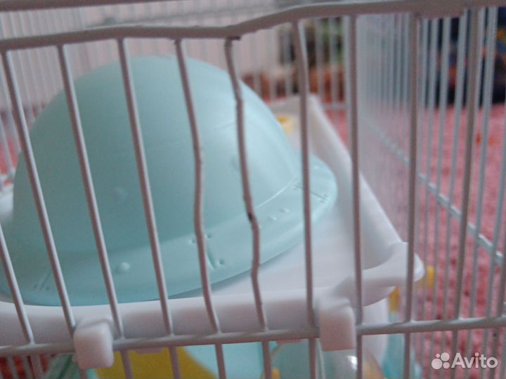 Клетка для хомяка бу