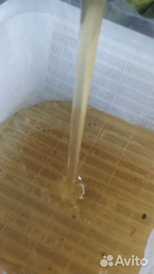 Липовый мед,куботейнер 24 литра Отправим в регионы