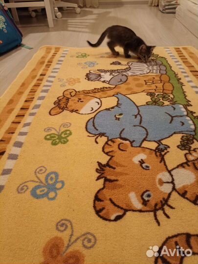 Ковер палас детский