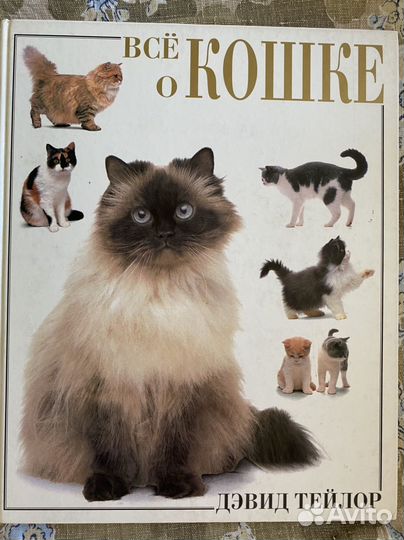Энциклопедия о кошках
