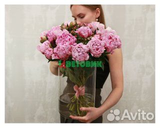 Пион розовый (Голландия) Premium