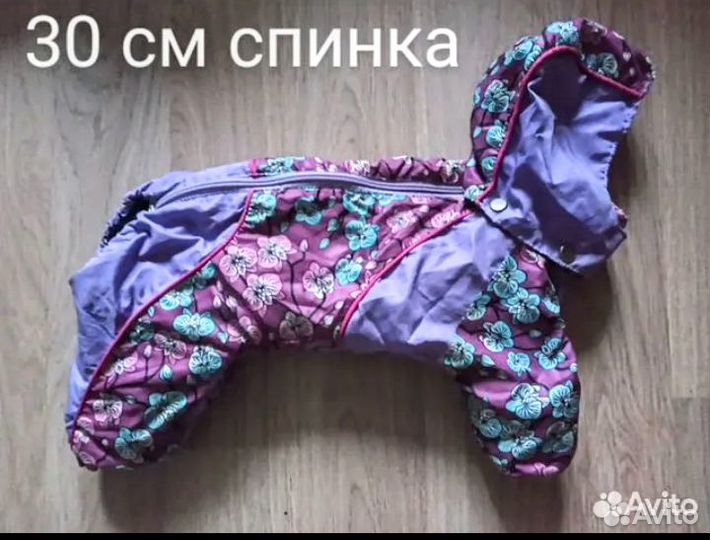 Комбинезон для собаки. Переноска. Лоток. Миска