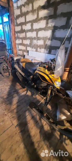 Снегоход dingo T150