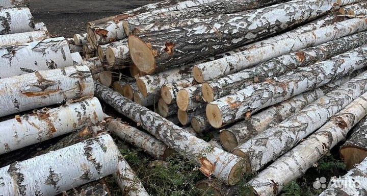 Берёзовый уголь оптом