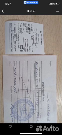 Сибирская кошка, еще ребёнок