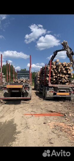 Водитель категории е лесовоз