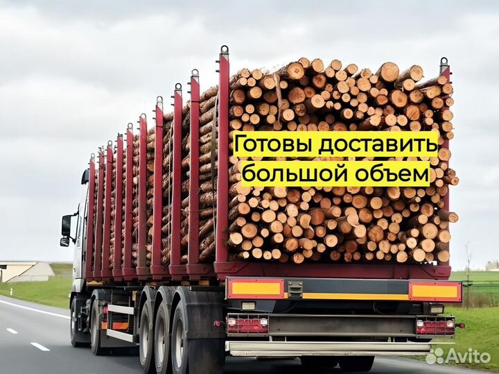 Обрезная доска хвоя