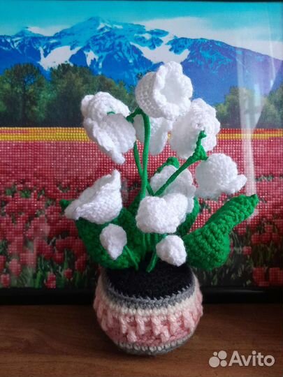 Интерьерные цветы