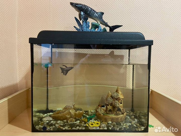 Аквариум 25-30л