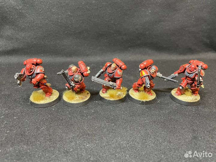 Blood angels assault intercessors