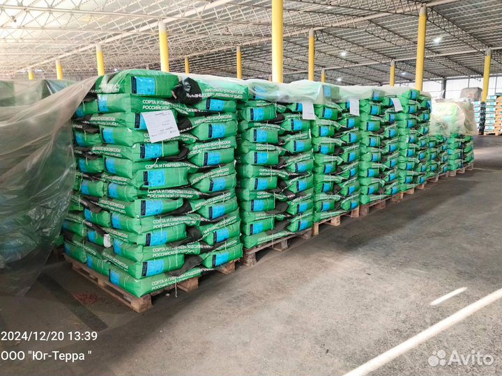 Семена подсолнечника Нови Сад 6341 под евролайтинг