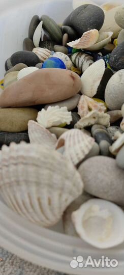 Декорации, грунт для аквариума