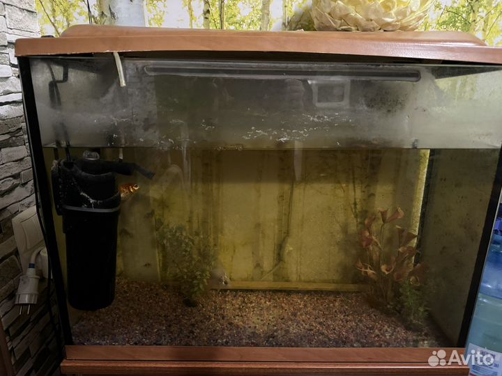 Аквариум