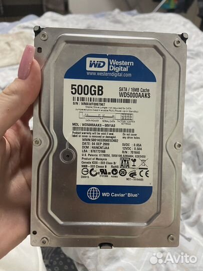 Жесткий диск 500gb