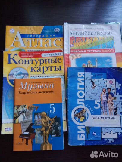Рабочие тетради 5класс