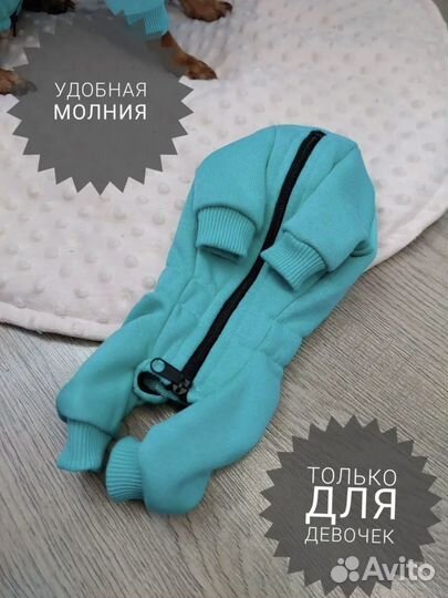 Одежда для собак мелких пород девочек