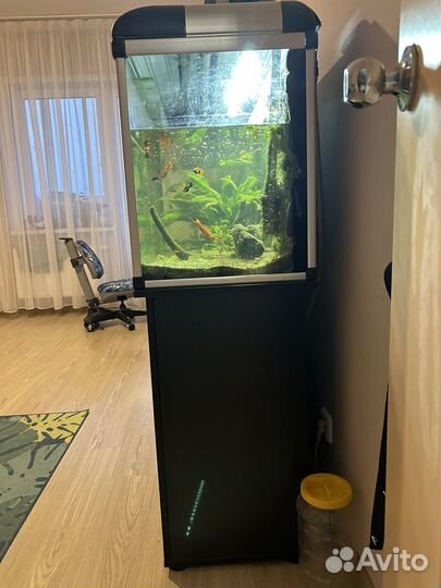 Аквариум с тумбой 200 литров
