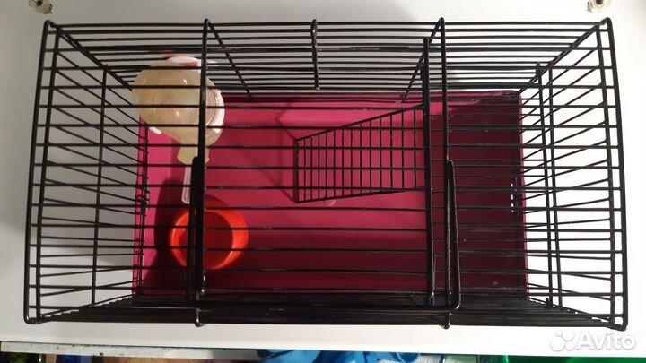 Клетка для грызунов бу