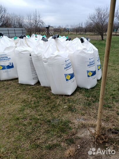 Амиачная селитра