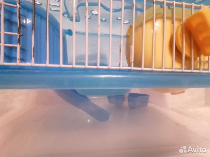 Клетка для джунгарских хомячков