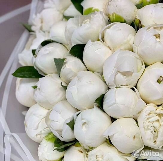 Пионы Букеты Цветы Доставка