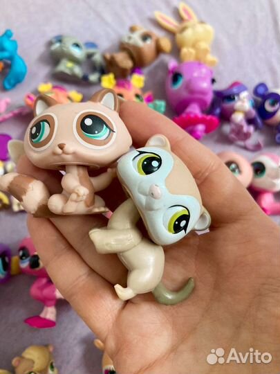 Lps хорек ласка куница гуси pet shop