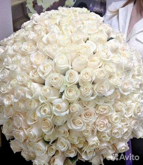 Высокие Розы с Доставкой