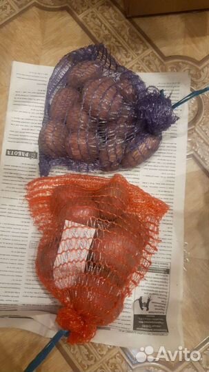 Семенной картофель